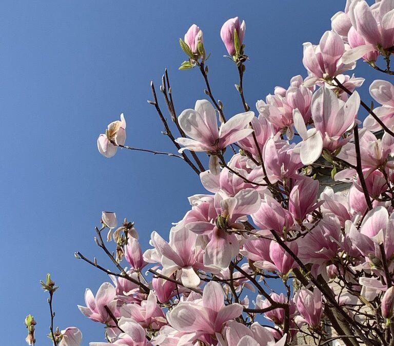 Le grand nettoyage de printemps