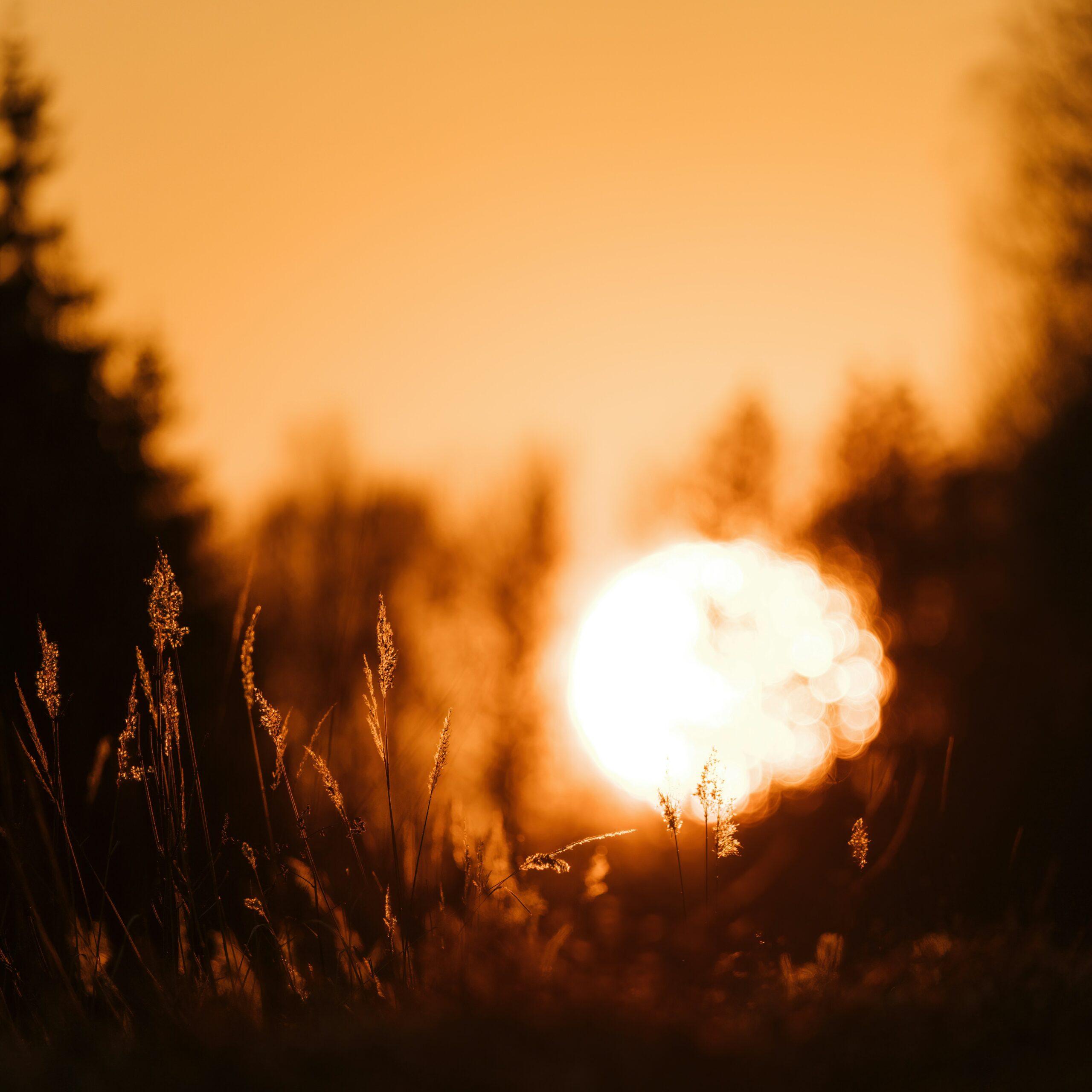 valdemaras-d-lYEeimPdUQM-unsplash